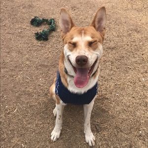 Meet your Posher, Sabrina